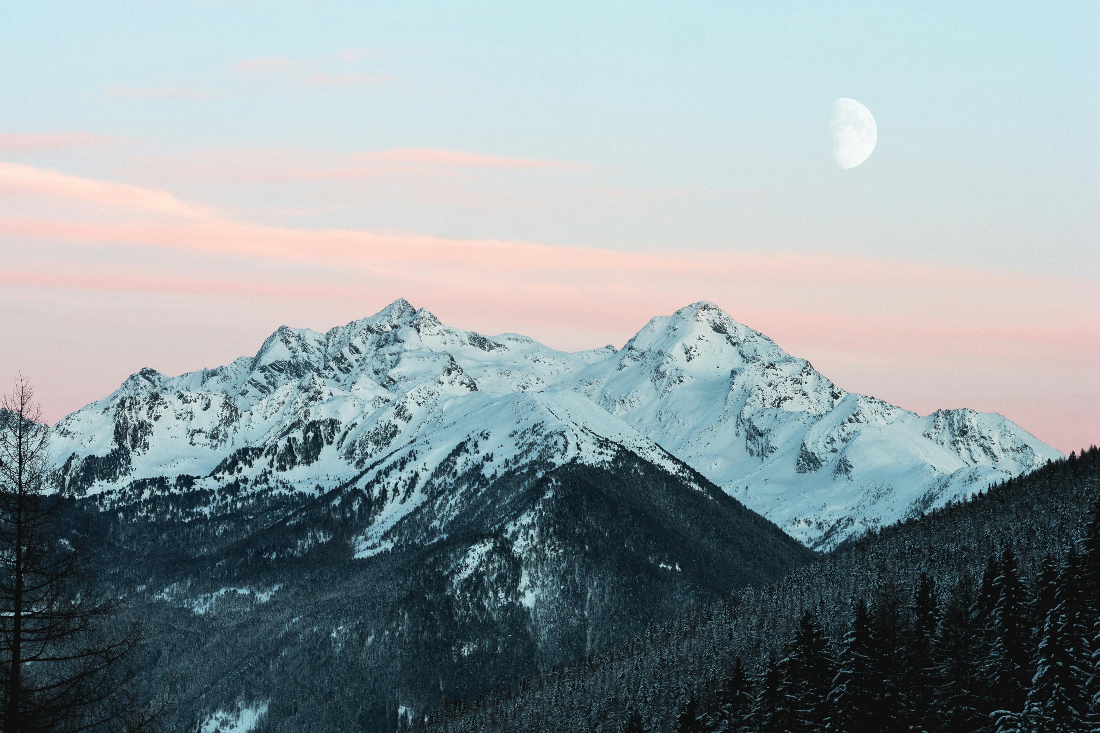 Understanding the Use of Nicotine Pouches in Austria
