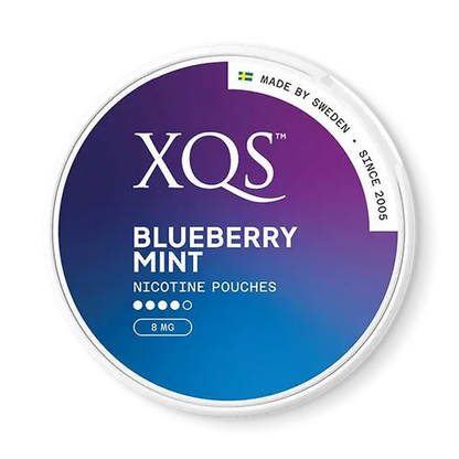 XQS Blueberry Mint
