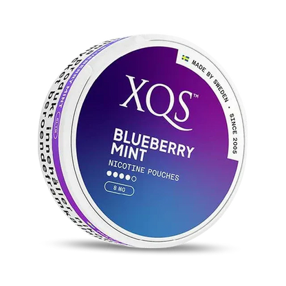XQS Blueberry Mint